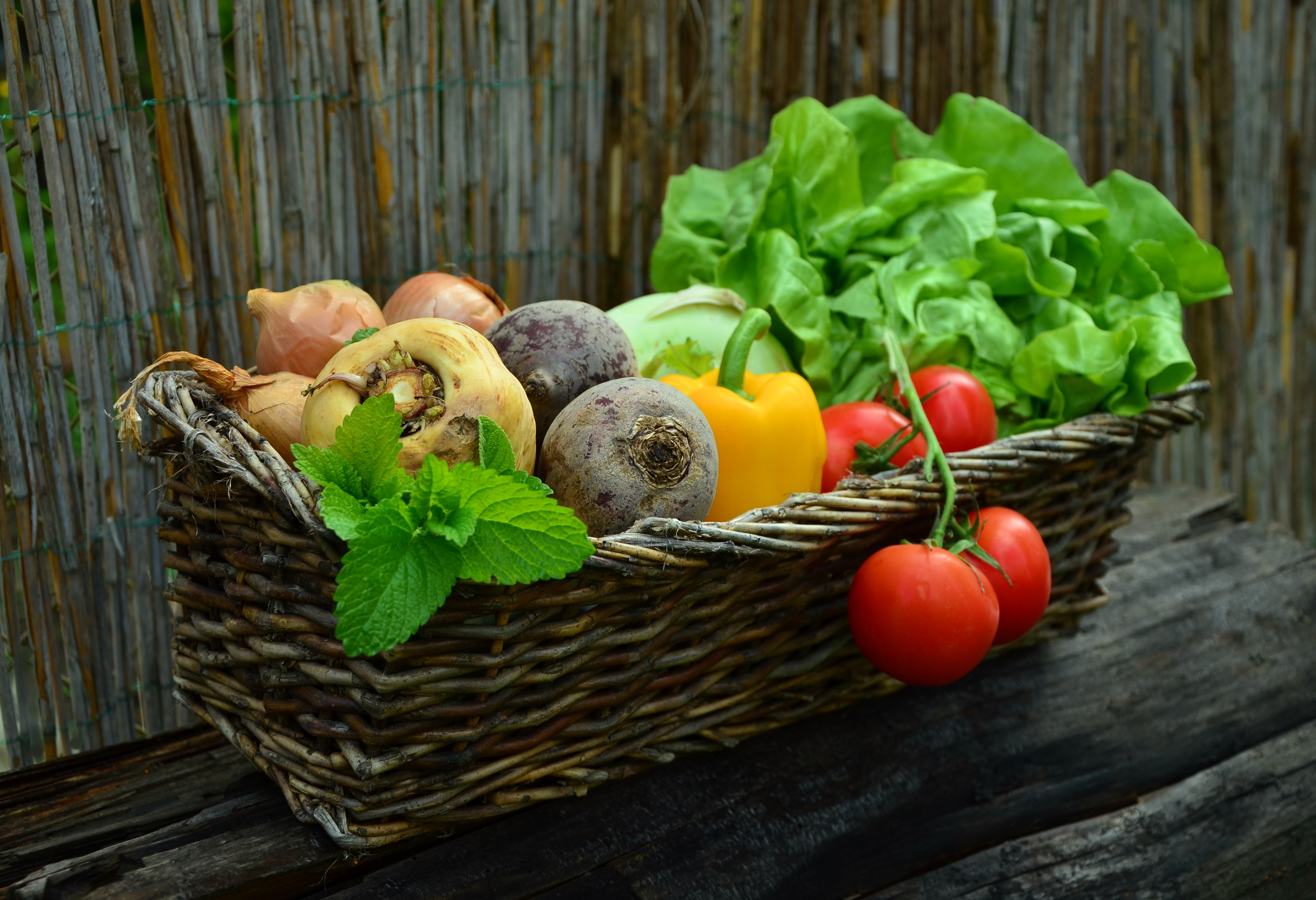 Access to Markets: Local Food Databases Access to Markets: Local Food Databases
