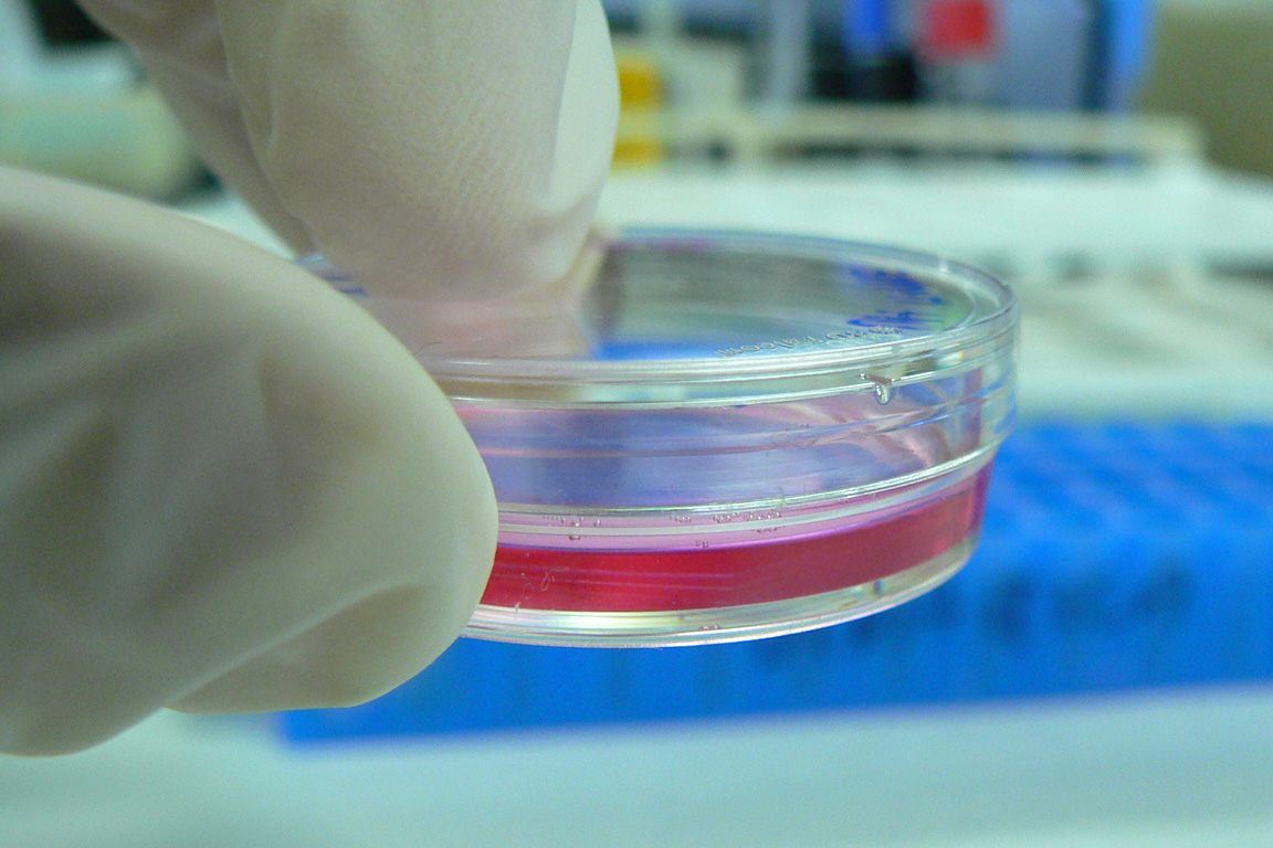 NFU Urges Congress to Halt Relocation, Reorganization of Research Agencies