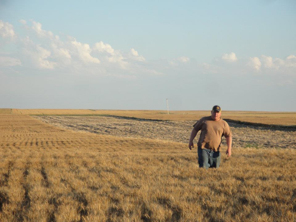 Over 200 Farm, Food and Rural Groups Endorse Agribusiness Merger Moratorium Bills