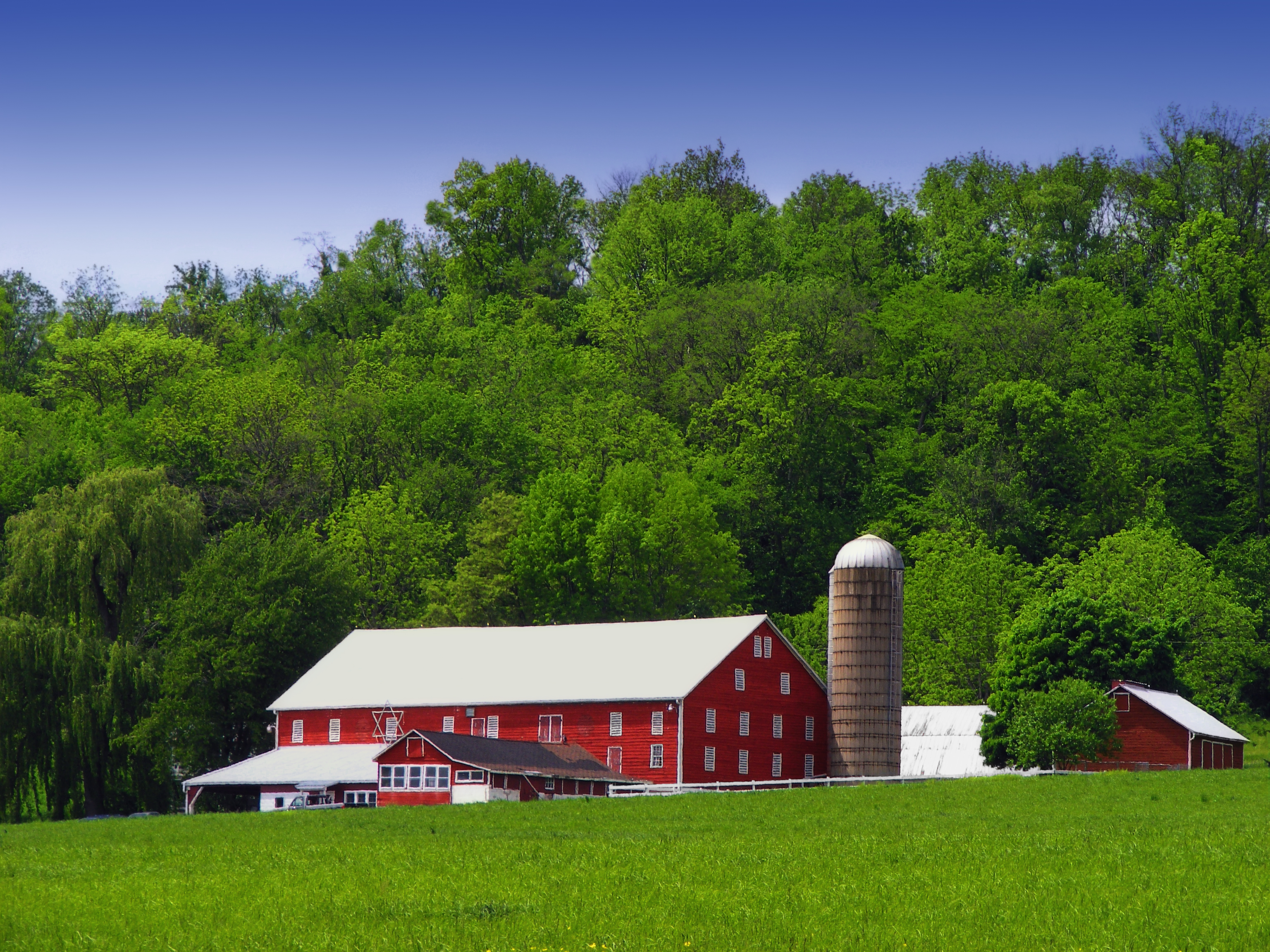 Budget Proposal Another Blow to Family Farmers