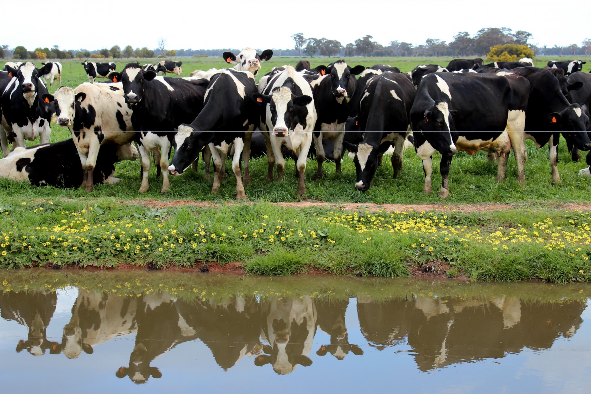 Proposed Rule Would Deter Organic Fraud, Strengthen Label’s Integrity Proposed Rule Would Deter Organic Fraud, Strengthen Label’s Integrity