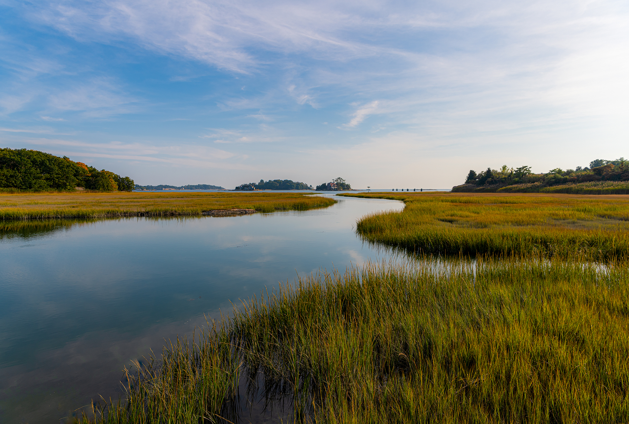 Farmers Must be Heard during WOTUS Rule Re-Write, NFU Tells EPA and Army Corps Farmers Must be Heard during WOTUS Rule Re-Write, NFU Tells EPA and Army Corps
